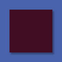 Глянец 490 (Pongs)